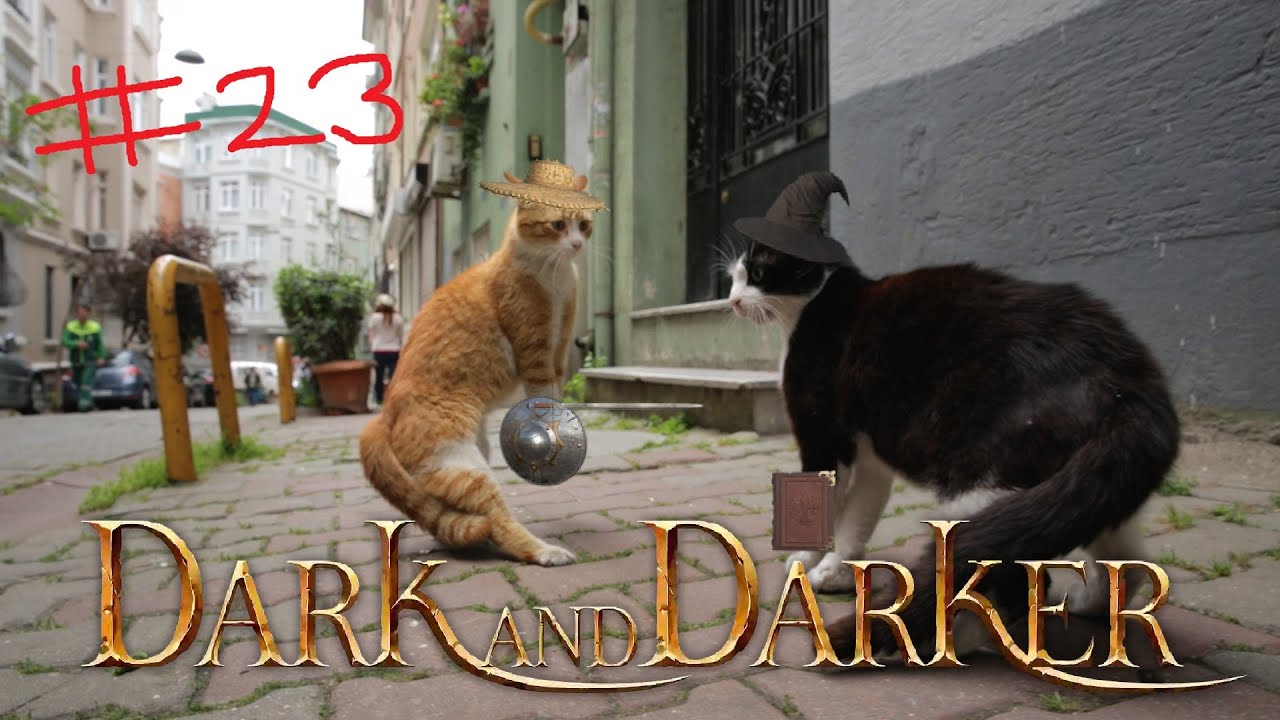 HOW WE GOT RICH DURING SSF SEMI-SEMI WIPE! (Dark and Darker Montage Ep.23)