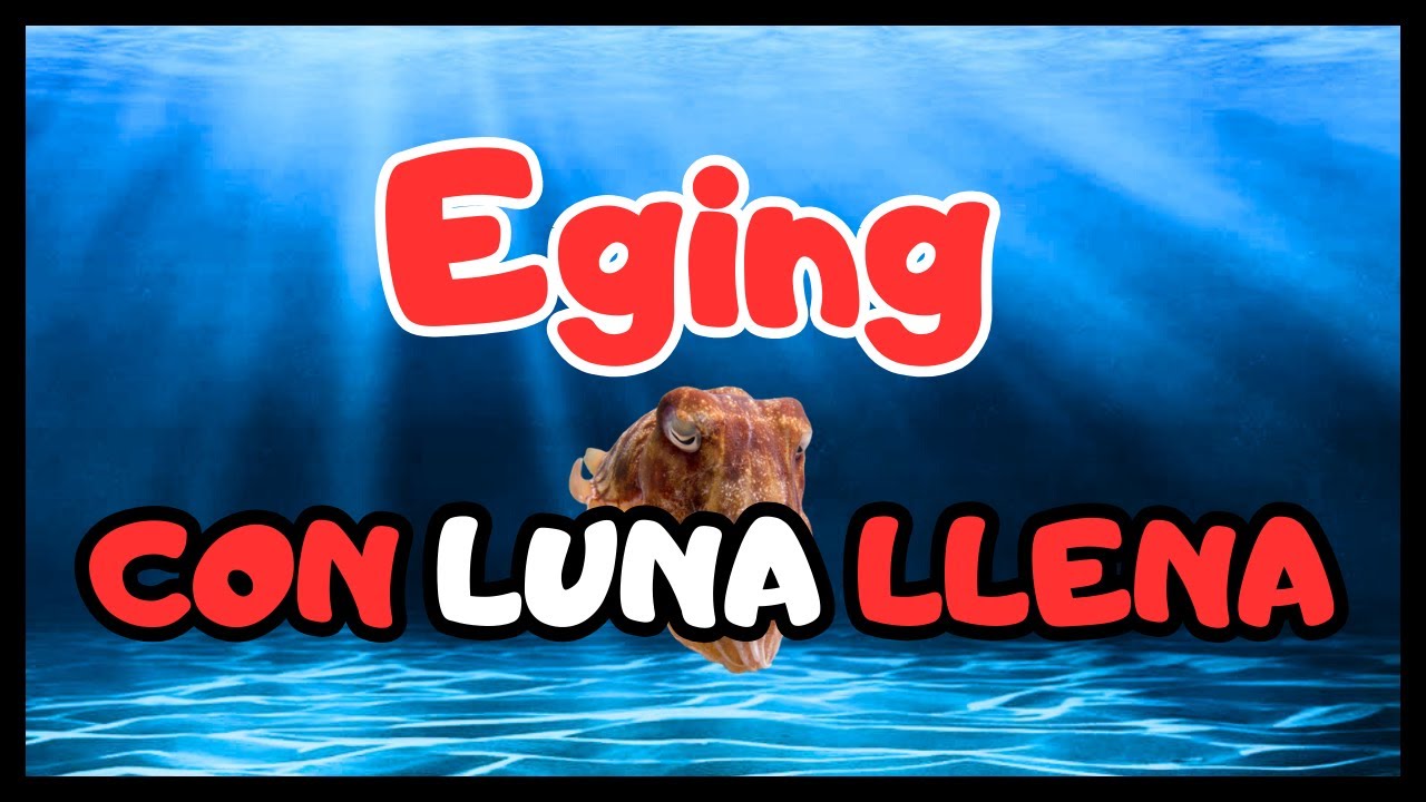 EGING con LUNA LLENA desde ORILLA en la Costa de MALAGA