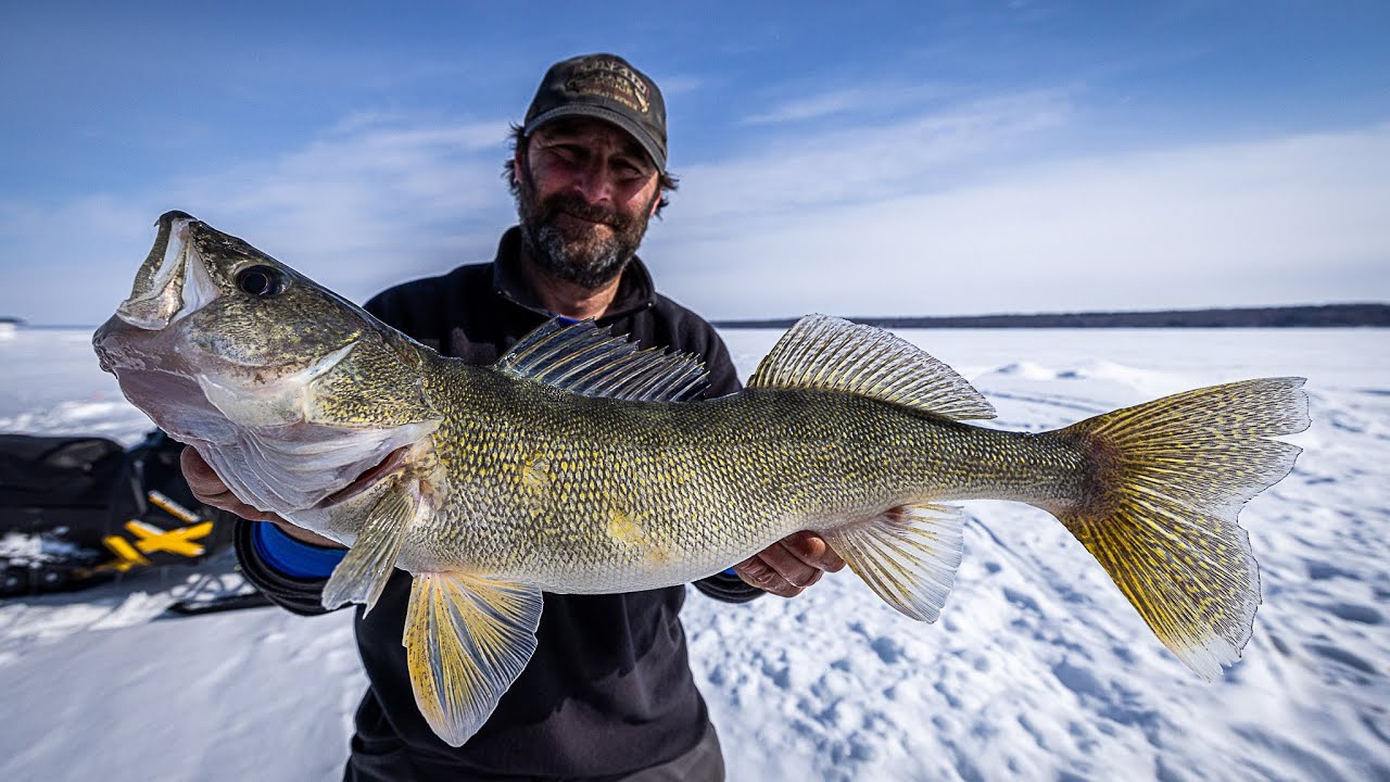 Ice Fishing For Big Walleyes and Pike in Northern Canada