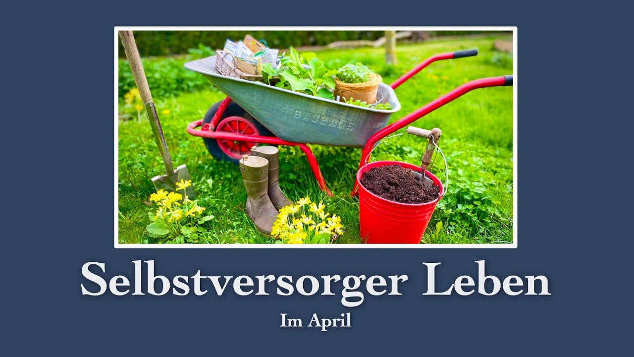 #35 Selbstversorger Leben im April 🌼🍳🌿ruhiges Landleben