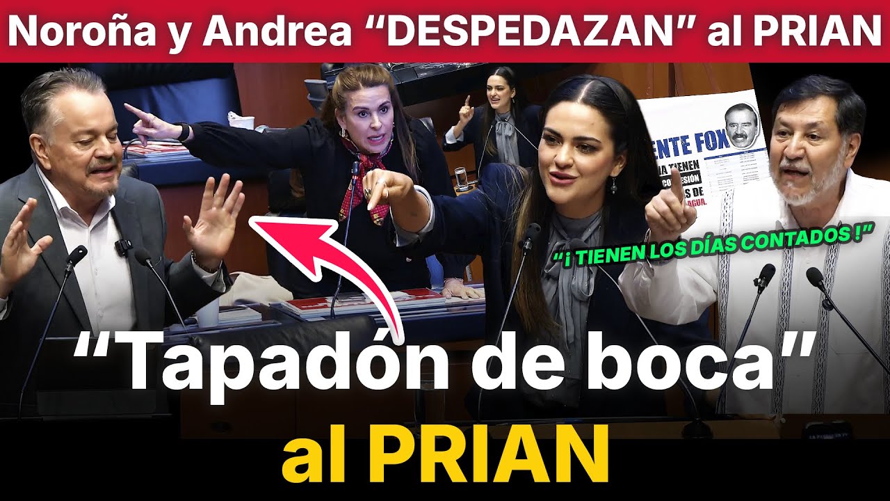 Noroña y Andrea Chávez “DESTRUYEN” a Viggiano y a panista en el Senado