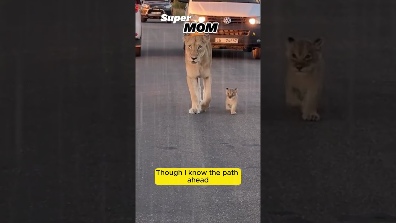SuperMom 