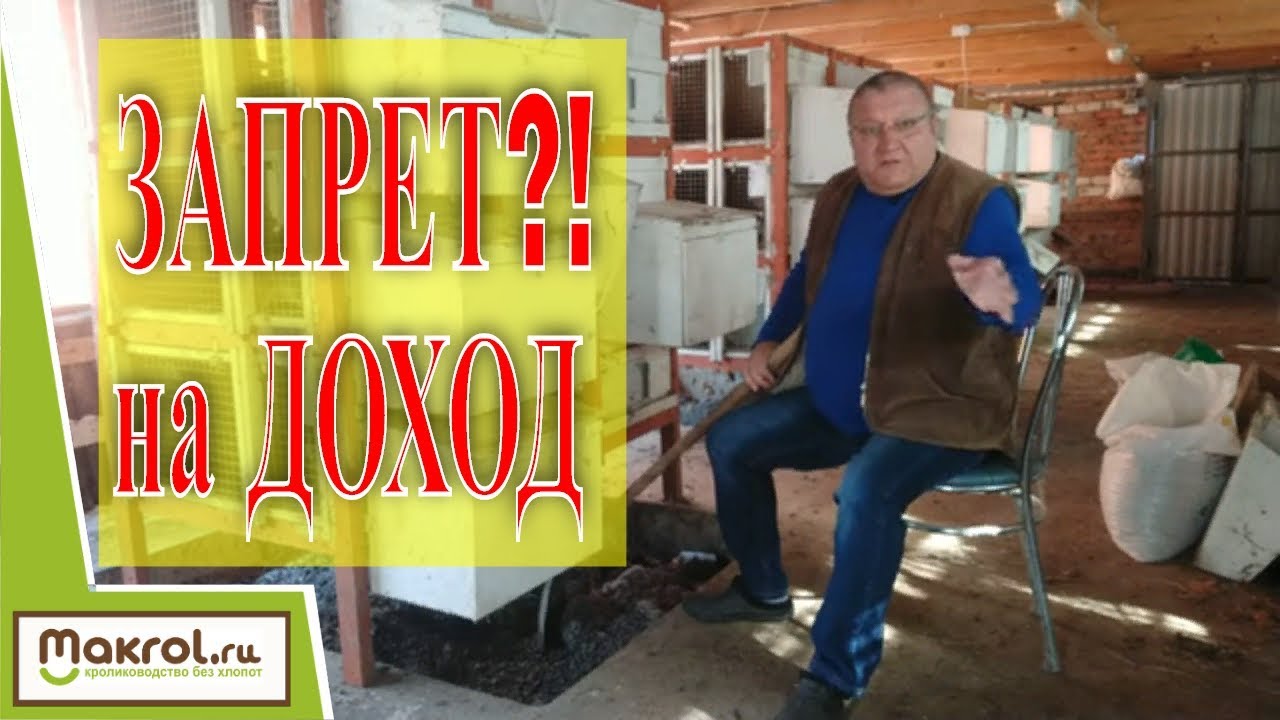 ❗Штраф за кроликов❗🐰 Как защититься от произвола чиновников💲 #МакляК #Макрол