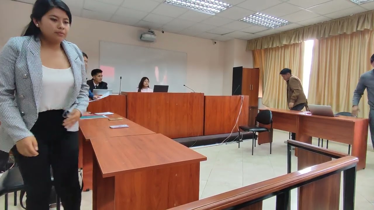 Audiencia de Pensión Alimenticia con presunción de Paternidad. Simulación