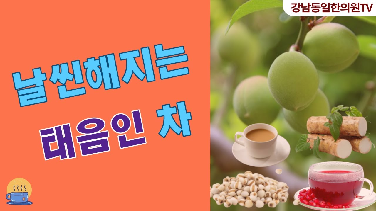 [한의사 곽노규]하루라도 빨리 알수록 태음인에게 이득인 차_태음인 차