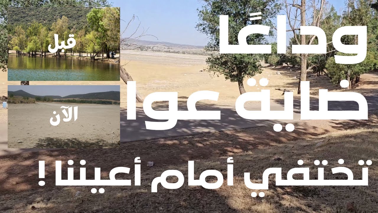 ضاية عوا تختفي.. مأساة طبيعية تهدد جوهرة إفران!