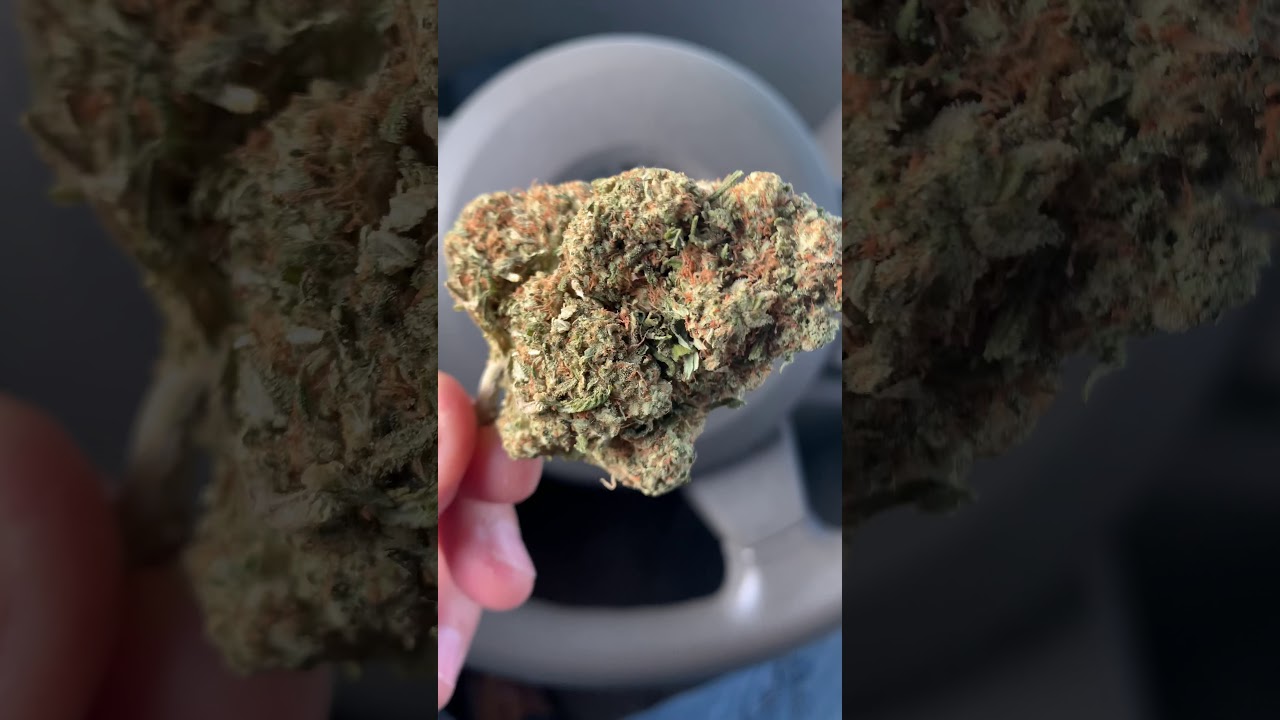 Stanky Danky Sticky Icky
