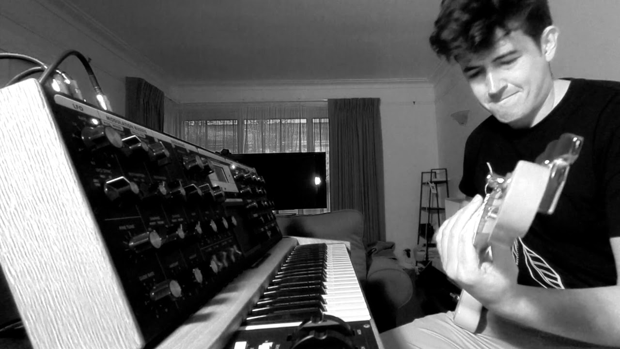 Industrial Post-Punk Droning with the Minimoog Voyager and a Guitar in Ostrich-Tuning