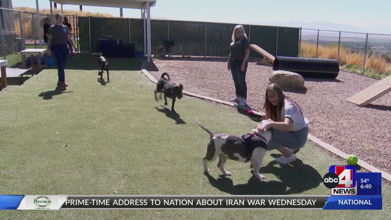 Акты доброты: познакомьтесь с волонтерами организации Davis County Animal Care.