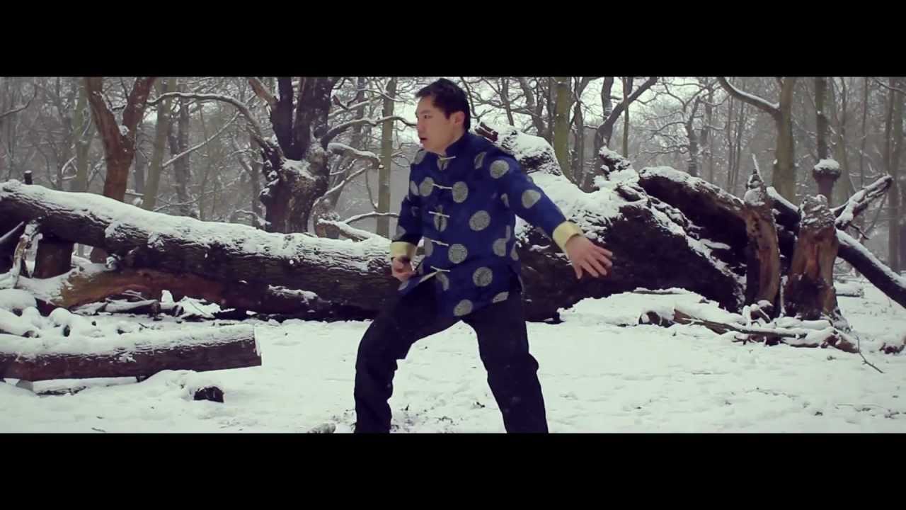 Hung Gar: Tiger and Crane Form (洪拳 : 虎鶴雙形拳)