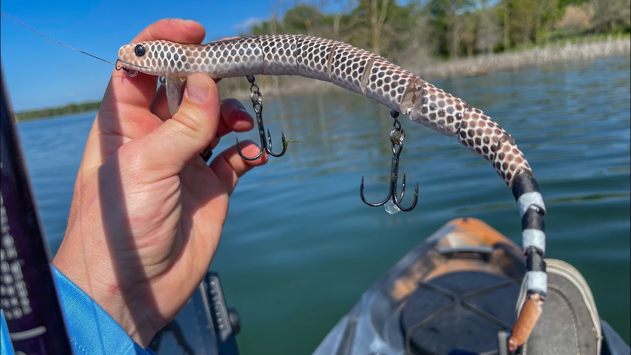 Fishing For GIANT BASS With A SNAKE! (Kayak Fishing)