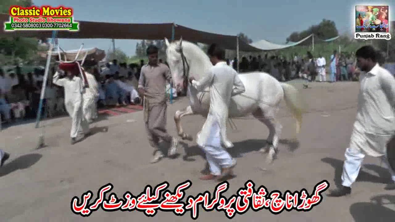31  /Best Horse Dance Punjab Jhang / Urs o Mala Hazrat Sultan Pakhra  2018 /Jhang