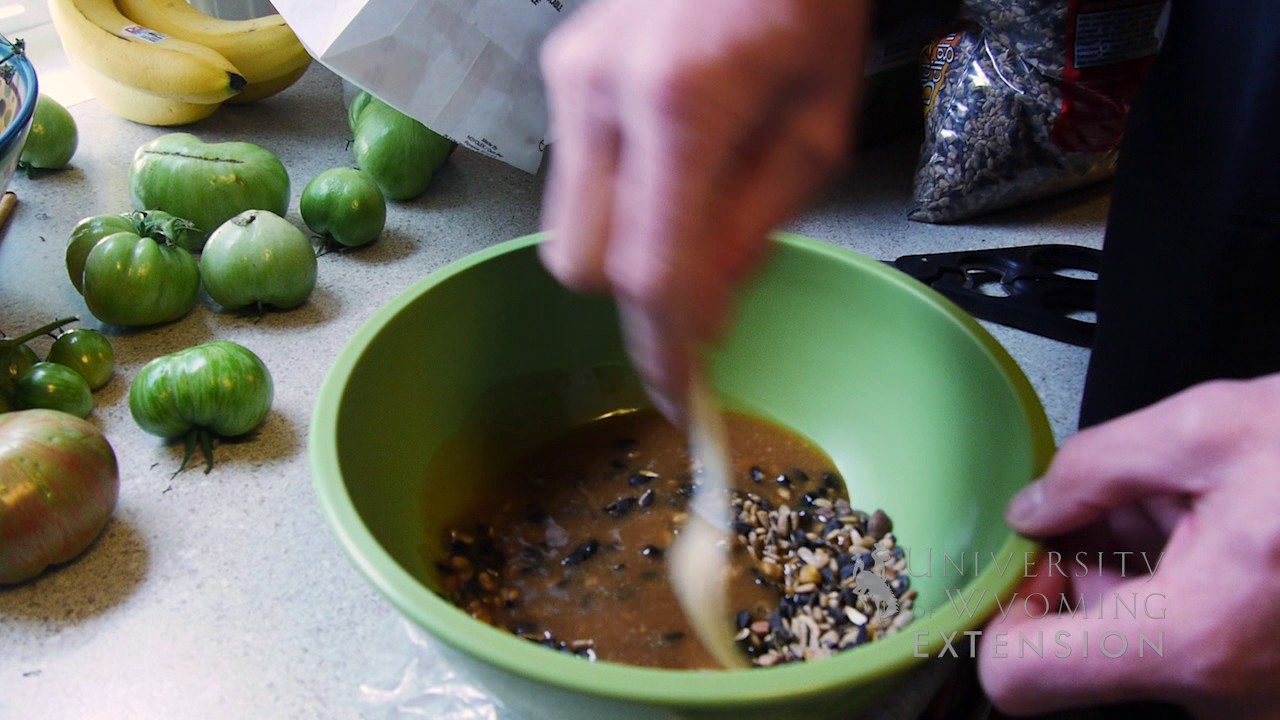Winter Bird Feeding | From the Ground Up