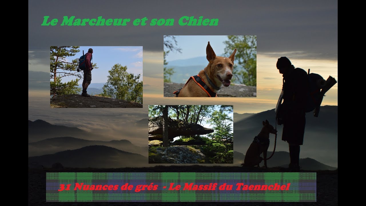 31 Nuances de grès au Taennchel.