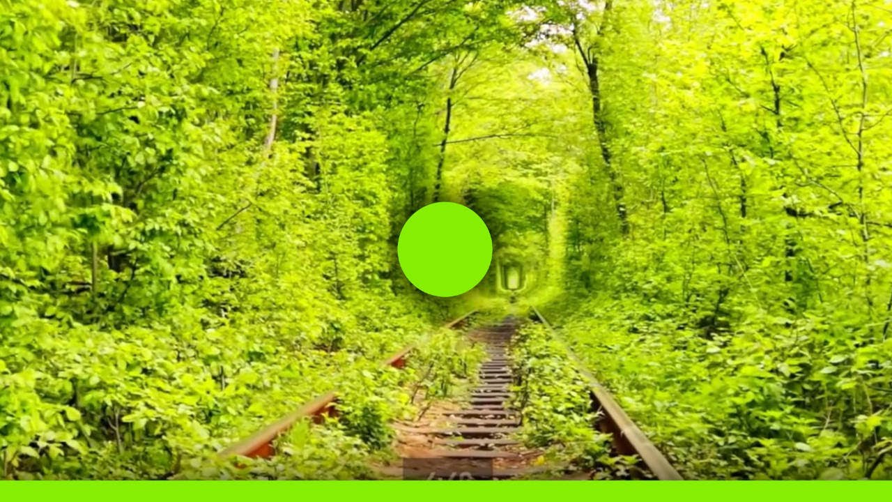 🟢 Cohérence cardiaque n°667 🌿 5 min