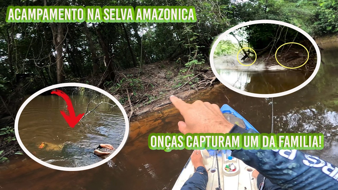 DIAS NA SELVA, MOMENTOS DE PÂNICO E FURIA DOS ANIMAIS.