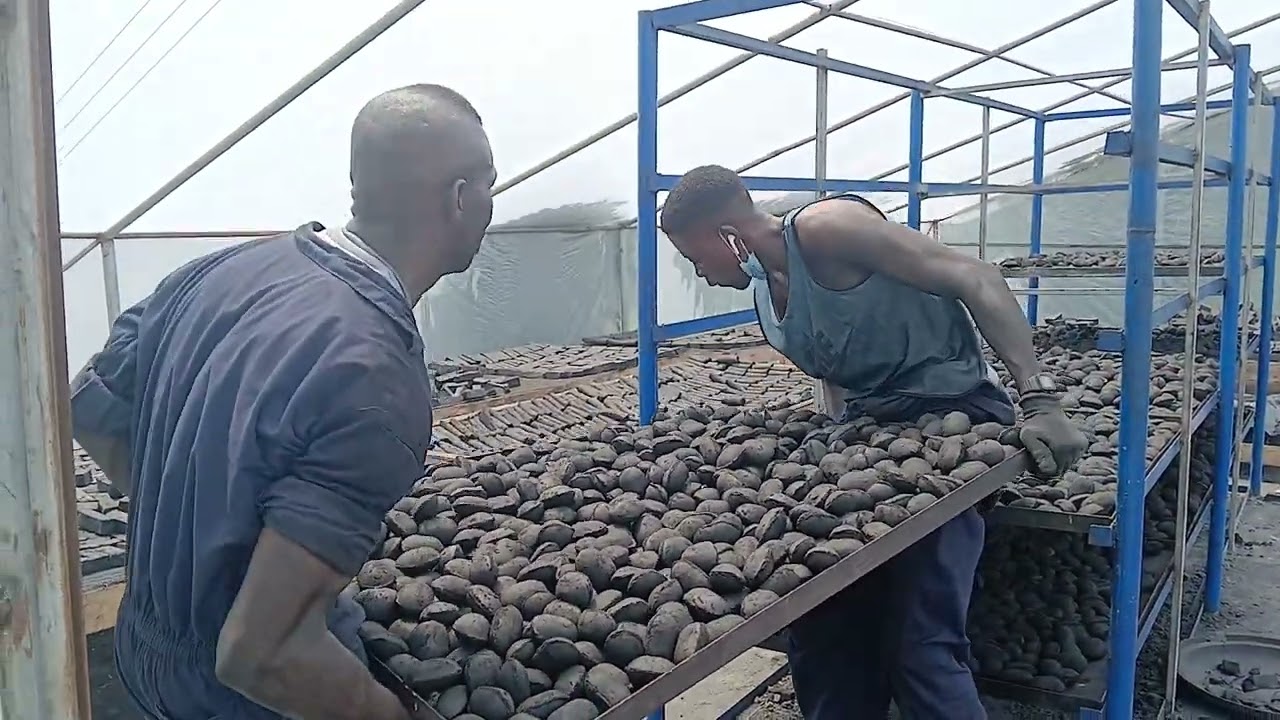 How to dry Charcoal Briquettes under the sunshine without distraction #charcoal #trending #wodemaya
