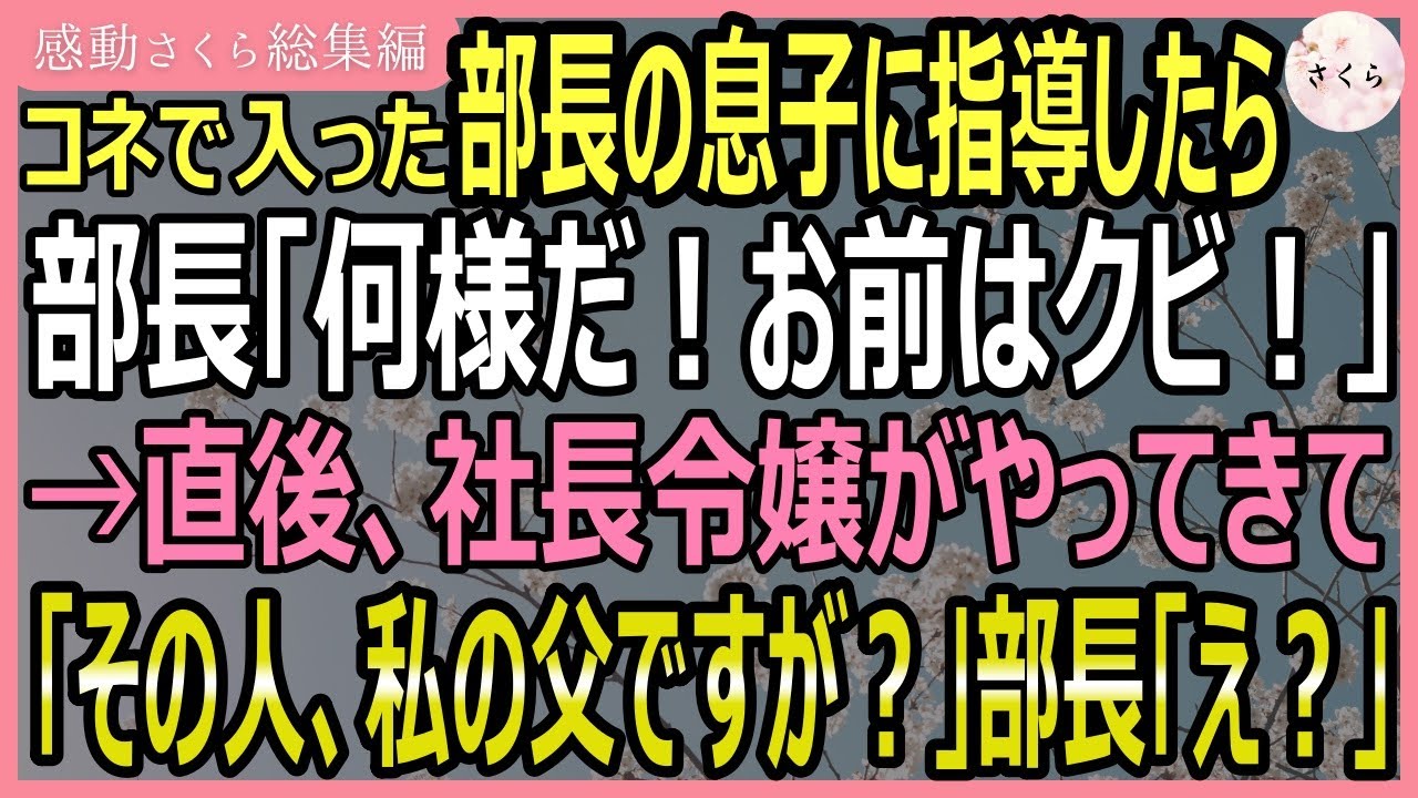 【感動する話・総集編】コネで入った部長の息子に指導をしていたら部長が「俺の息子がミスはしない！何様だお前は！クビだ！」と怒鳴りだした。そこへ社長令嬢がきて…【いい話・スカッと・スカッとする話・朗読】