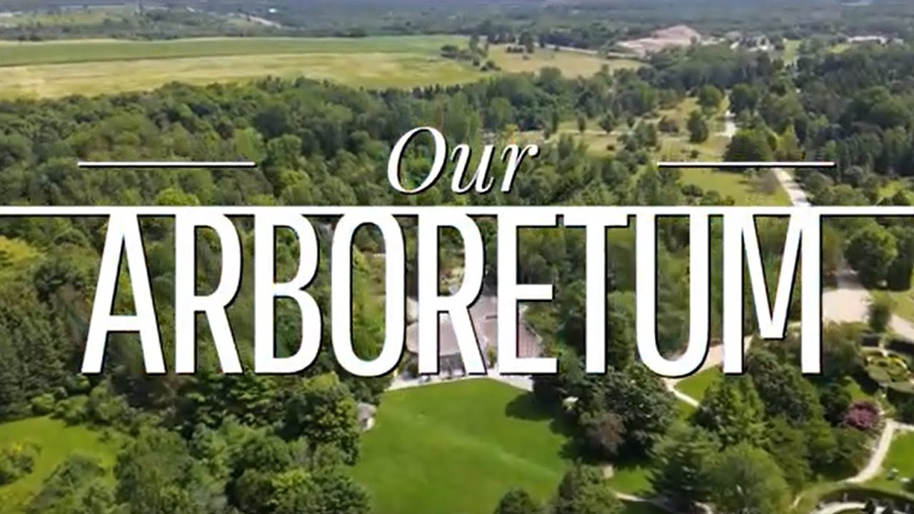 Our Arboretum