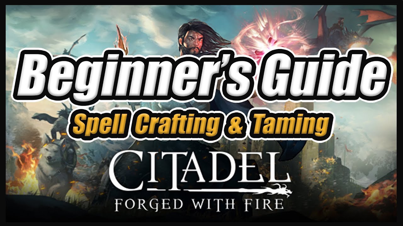 Citadel Reignited Beginner's Guide: Basics, Spell Crafting & Taming