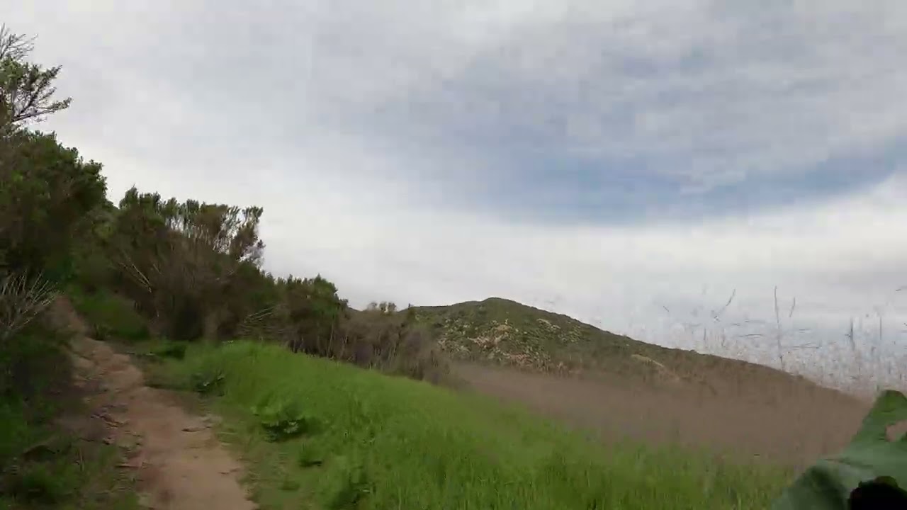 Lower Mentally...The super bloom has begun! ..... & it's raining tomorrow! Aliso Woods 2/15/26