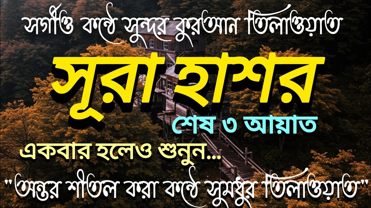 Surah Hashr Last 3 Ayat Tilawat | সূরা হাশর শেষ তিন আয়াত তেলাওয়াত | Beautiful Quran Recitation