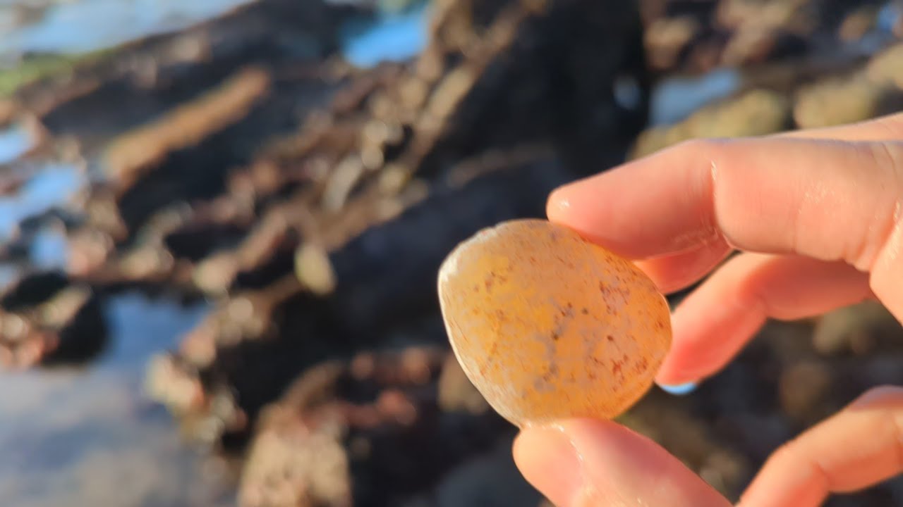 Beach Agate Hunting in the San Francisco Bay Area