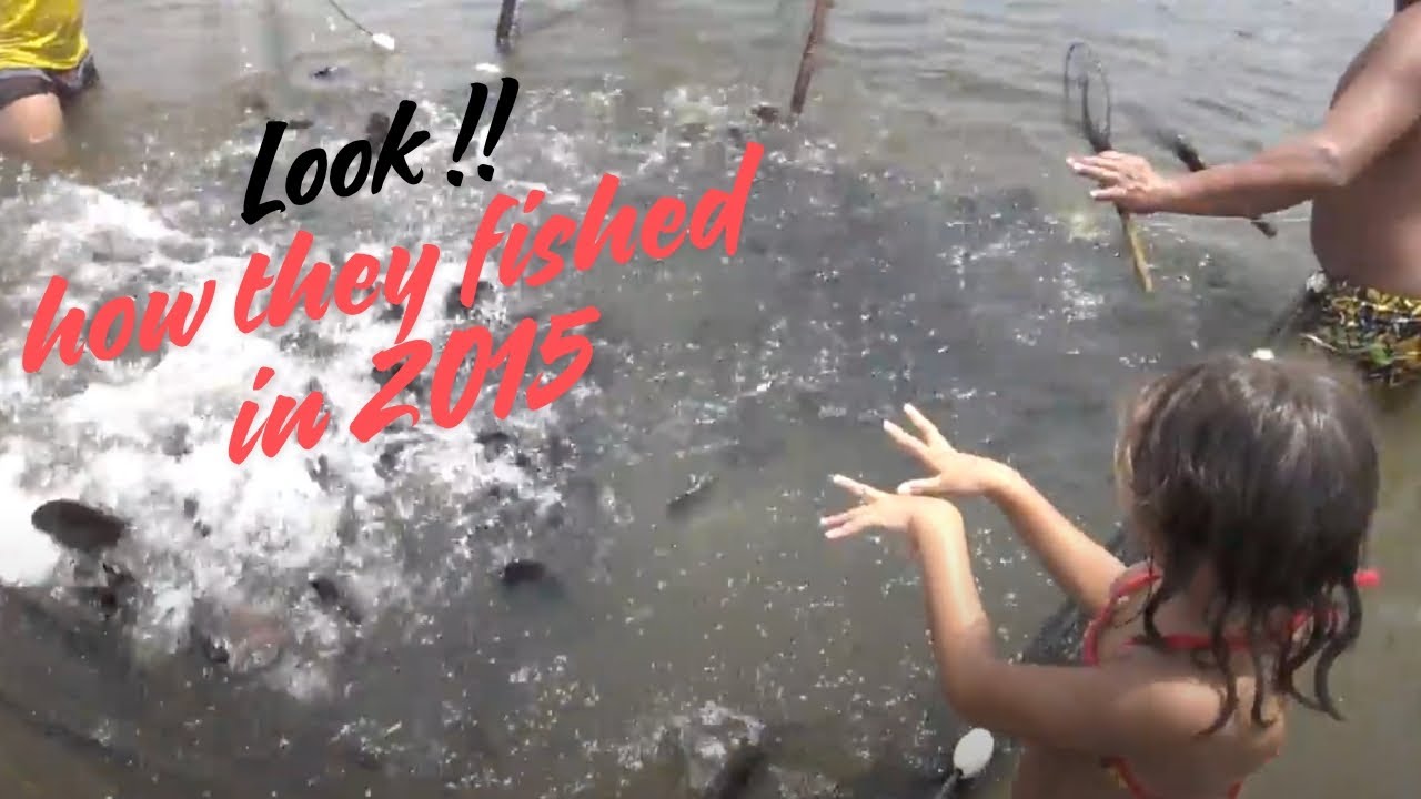 Look how they fished  2015 - Time to see wild discus 2 - Nhamunda during a Expedition