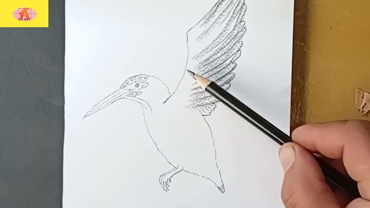 How to Darw a Beautiful kingfisher. 