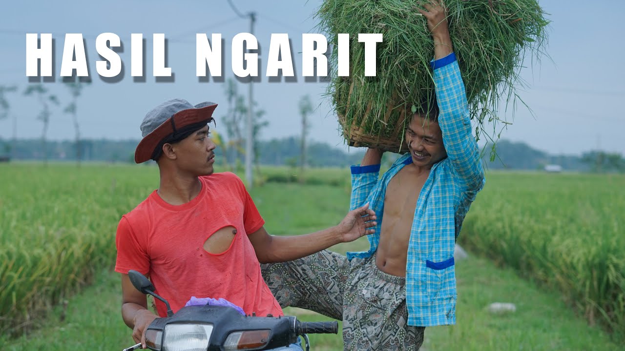 Ambil Pakan Sapi Kesayangan, Potret Anak Desa Episode 15