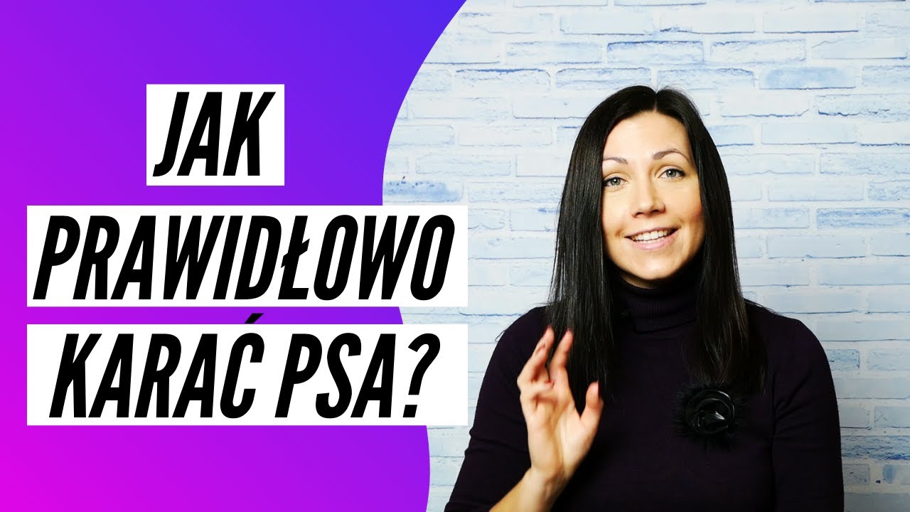 JAK PRAWIDŁOWO KARAĆ PSA? 3 minuty z Projekt Pies