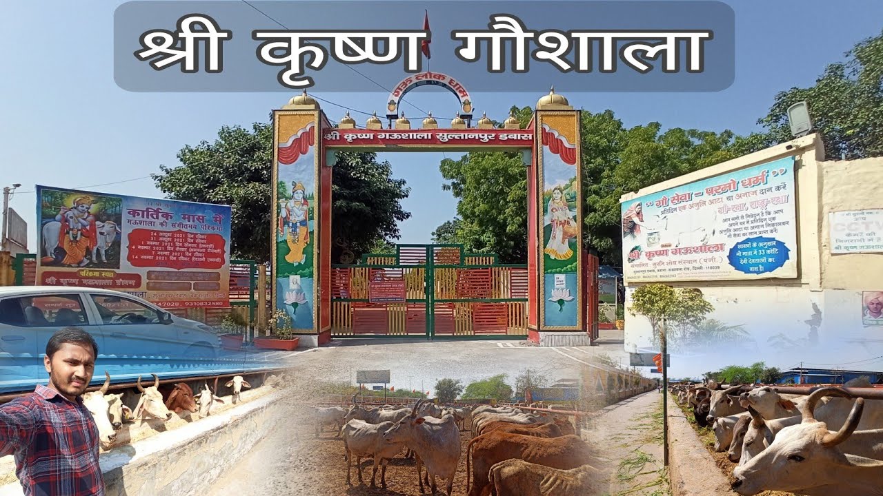 Shri Krishna Gaushala || Sultanpur Dabas Kanjhawala Road Bawana Delhi