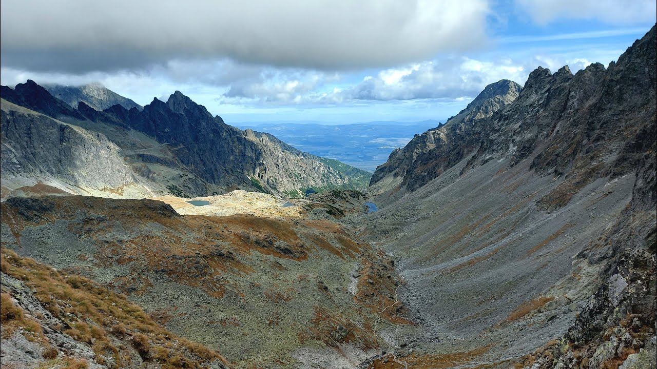 Tatry Słowackie, Rohatka, Polski Grzebień, niedźwiedzie na szlaku