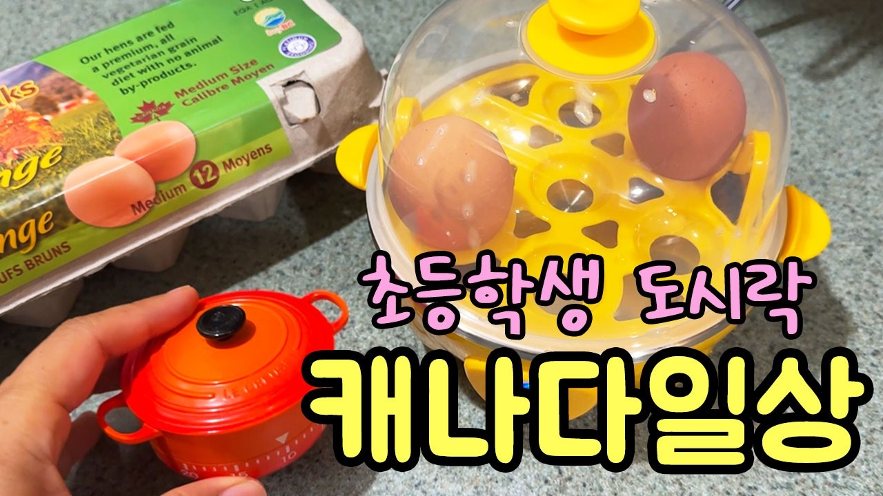 🇨🇦 도시락 남은 걸로 bbb 먹는 육아맘의 현실 캐나다 일상 | 동물농장부터 하이디라오, 노스밴쿠버 축제까지!