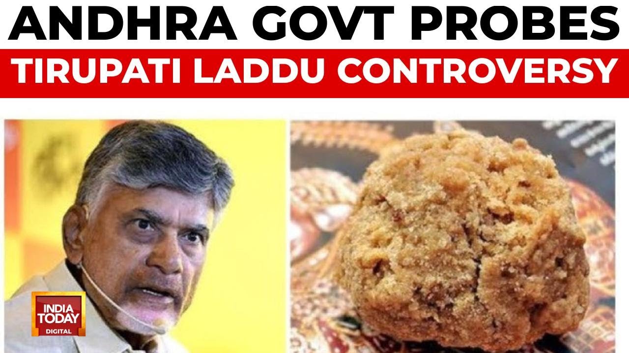 Tirupati Prasadam Row: Andhra Govt Launches Investigation | Tirupati Laddu Controversy Ground Report