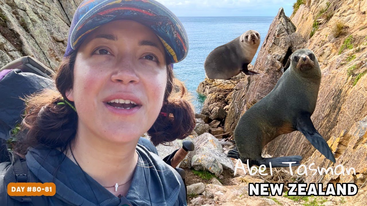 Wildlife sighting in New Zealand! Abel Tasman Great Walk, South Island Solo Backpacking, Best Hikes