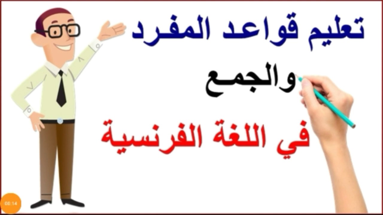 درس الجمع و المفرد  le singulier et le pluriel ، تعليم اللغة الفرنسية بطريقة جد مبسطة ،Français