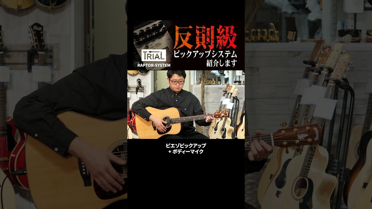 プロギタリスト多数使用のアコギピックアップを徹底レビュー  #ギター #ピックアップ #アコースティックギター #アコギ #押尾コータロー #ギター機材