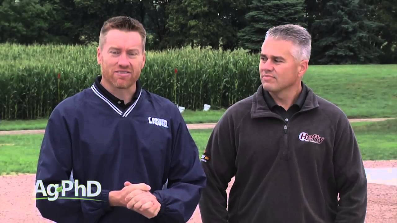Weed of the Week #908 - Quackgrass (Air Date 8/30/15)