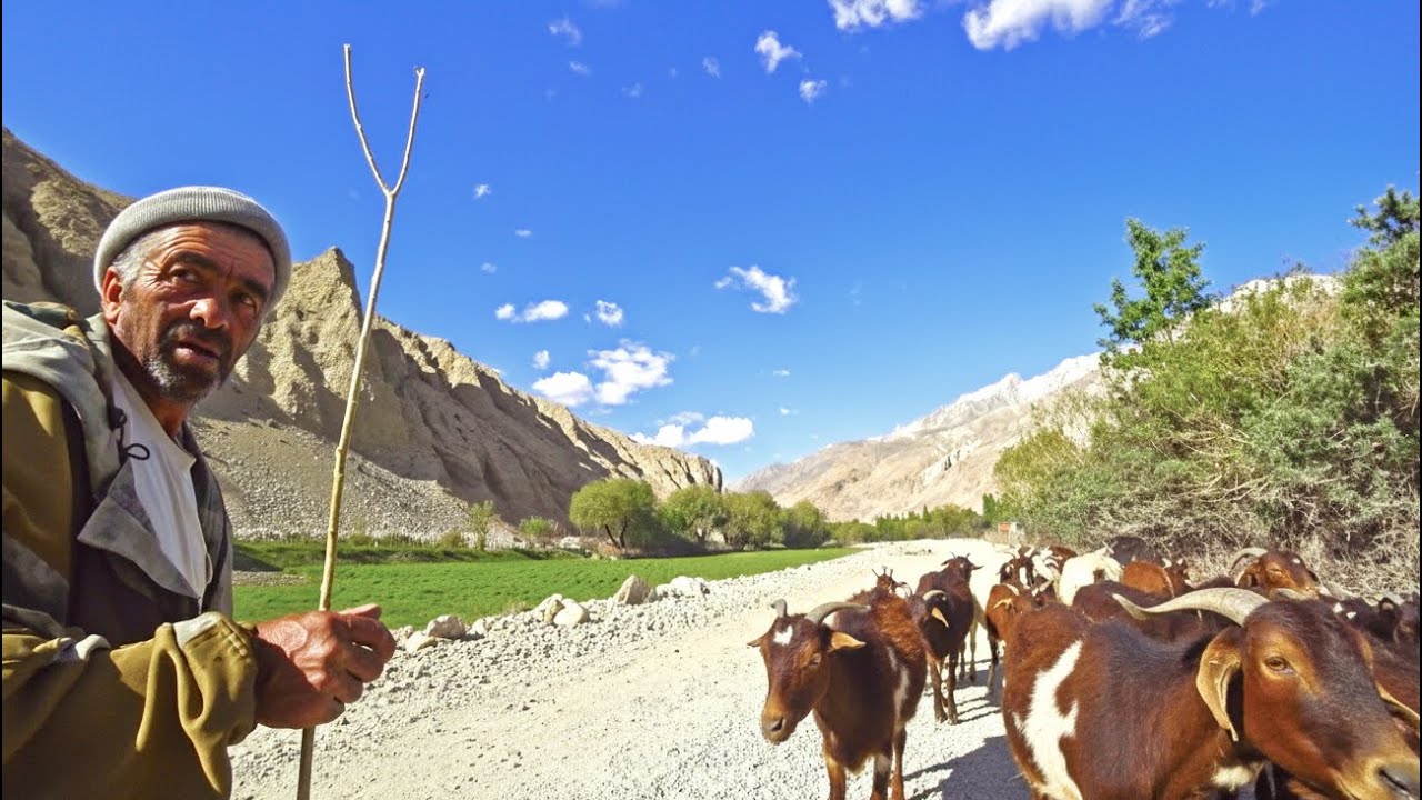 Going Native in the Pamir Mountains 🇹🇯🇦🇫