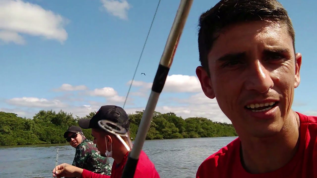 S&oacute; bagre bruto  (pesca na Bahia da babitonga Joinville  sc )