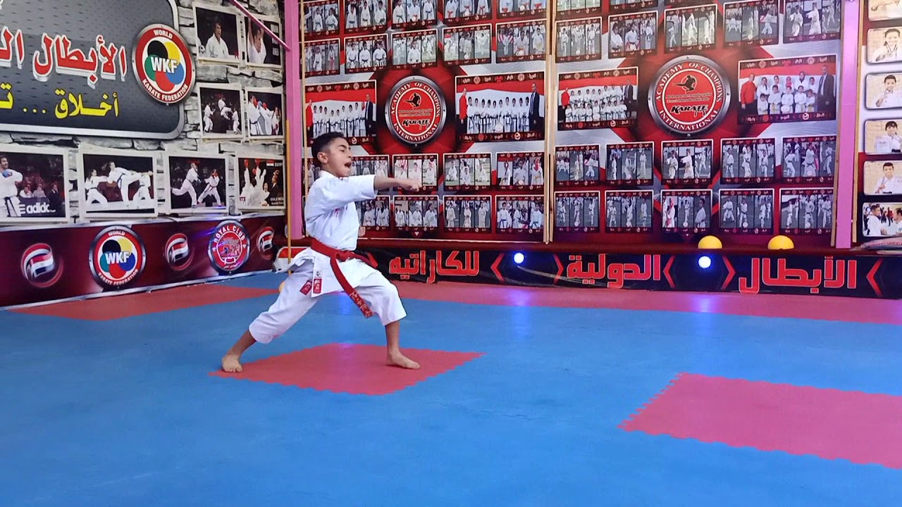 أساسيات الحزام البني & The basics of the Brown belt