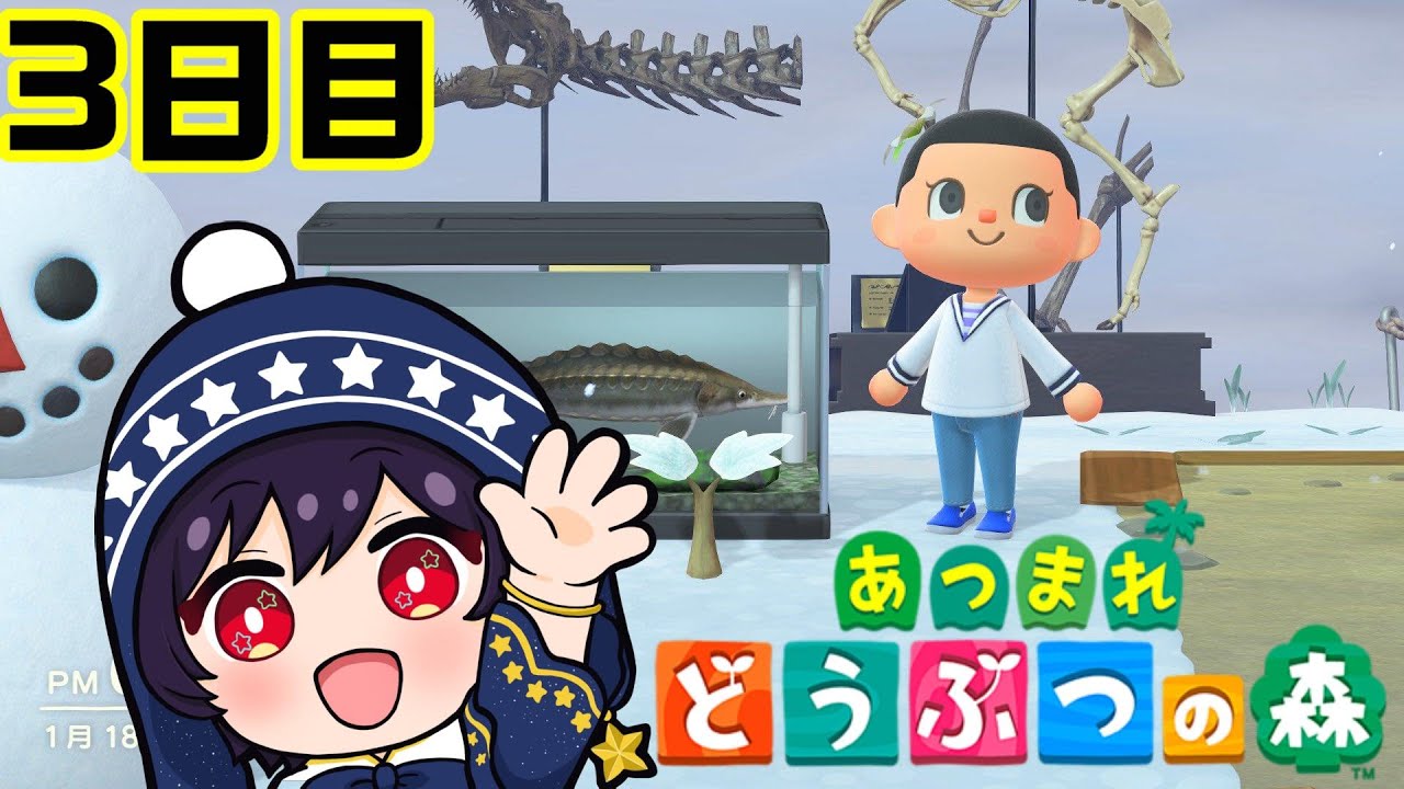 【#あつまれどうぶつの森 】アプデきたから新生活始める#3　【星空ナツ/Vtuber】
