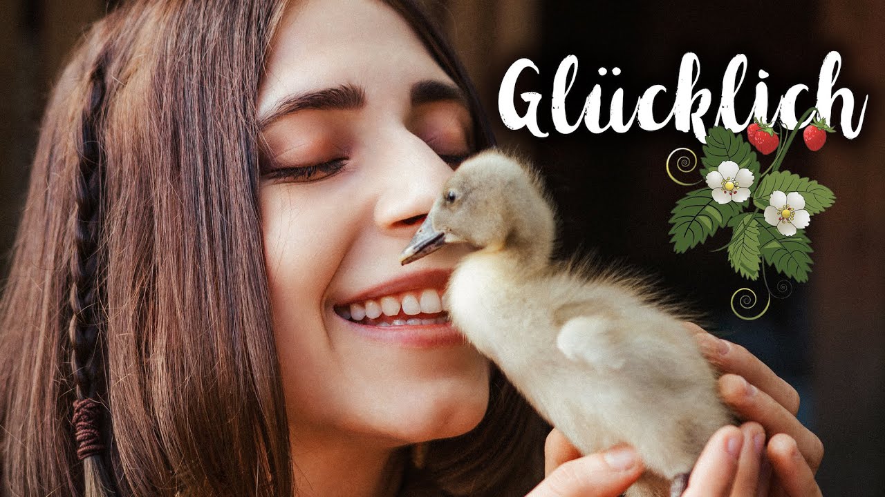 MORGAINE - GLÜCKLICH [Official 4K Video]