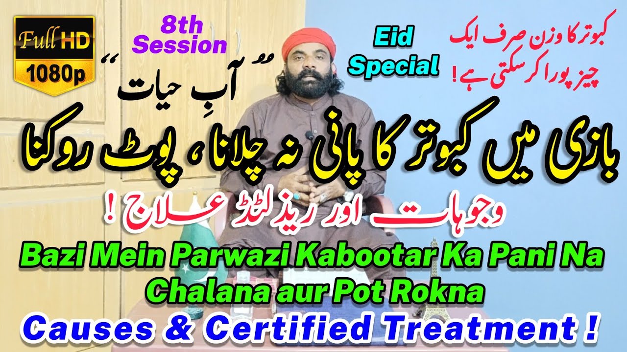 Bazi Mein Kabootar Ka Pani Na Chalana | Pot Rokna | Causes | Elaj | Aab e Hayat | Eid Special