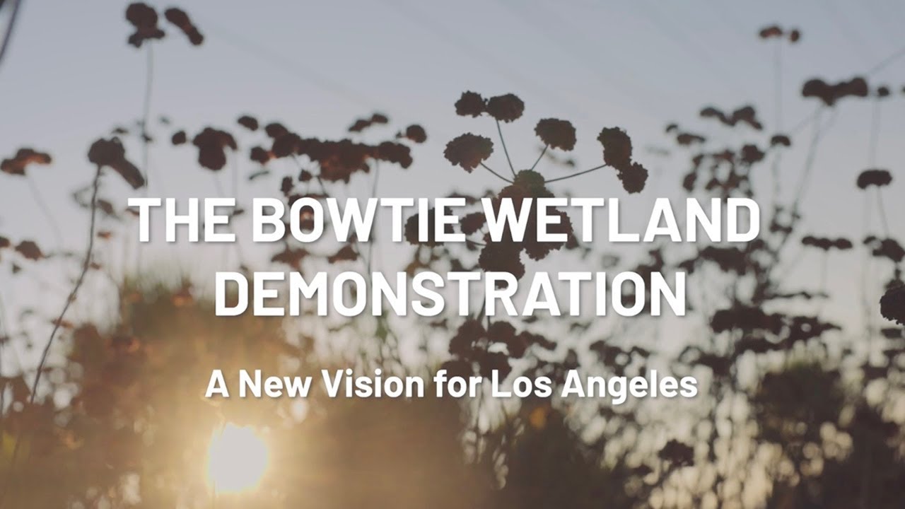 Bowtie: Breaking Ground on a New Wetland in Los Angeles