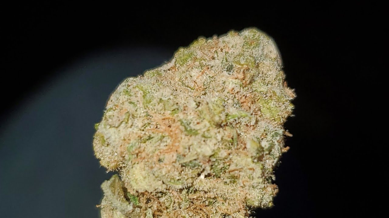 CASEY JONES #4 STRAIN WAKE AND BAKE STYLE