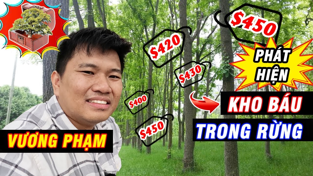 Vương Phạm Phát Hiện Kho Báu Trăm Nghìn Đô Trong Rừng