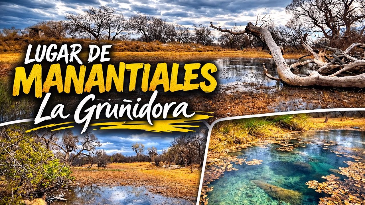 Gruñidora, Mazapil; lugar de manantiales en medio del desierto.