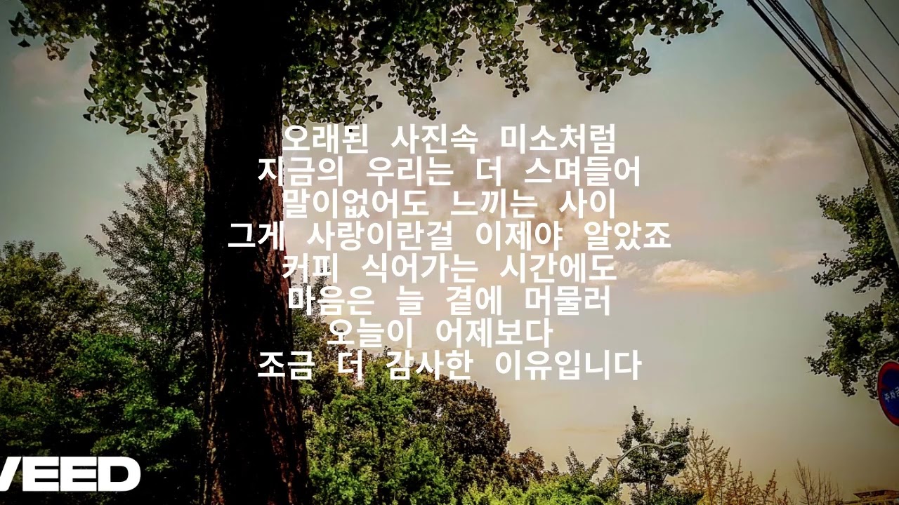가을이 나를 부를 때 When Autumn Calls Me 当秋天呼唤我时 